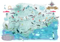 Image 1 of Birds of East Sussex