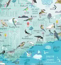 Image 2 of Birds of East Sussex