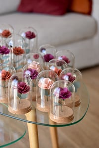 Image 3 of BOTANICAL CLOCHE