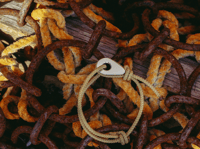 Image 4 of Mariner Bracelet 