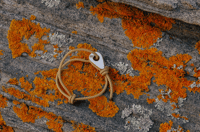 Image 8 of Mariner Bracelet 
