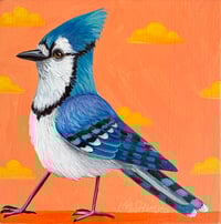 Sweet Blue Jay Orange