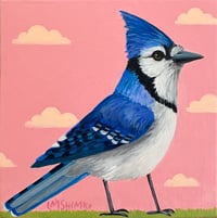 Blue Jay Pink