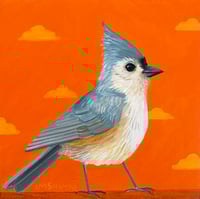 Tufted Titmouse Orange
