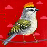 Sweet Golden-crowned Kinglet