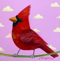 Little Cardinal 8
