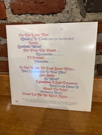 Image 3 of SWAMP DOGG Swamp Dogg Gets His Pool Painted