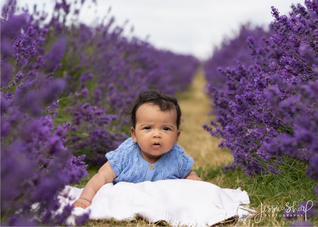 Lavender Mini Sessions - Sunday 12th July 2026