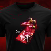 Image 1 of Fly Virgil