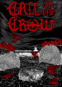 Image 2 of Festival shirt - 2026