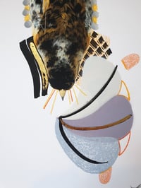 Image 4 of Brambling (Red Flame)