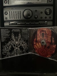 Image 2 of CASKET MUSH 'EVOCATION OF PARANOIA' CD'S