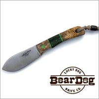 Image 1 of BearDog "Best-in-Show"