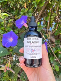 Image 1 of Blue Lotus and Rose Glycerite