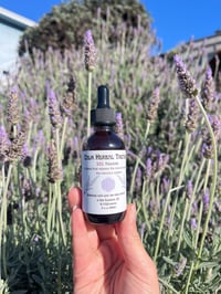 Image 1 of Calm Herbal Tincture