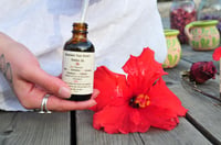 Image 2 of Remember Your Divinity Herbal Face Oil