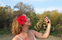 Image 2 of Hibiscus Rose Face Toner
