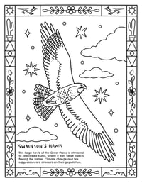 Image 4 of Birds of the Great Plains Coloring Book
