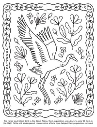 Image 5 of Birds of the Great Plains Coloring Book