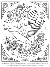 Image 6 of Birds of the Great Plains Coloring Book