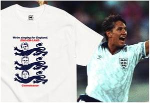 Image of 3 LIONS.