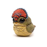 Image 2 of Chubby Bird: Royal Flycatcher (male)