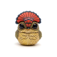 Image 3 of Chubby Bird: Royal Flycatcher (male)