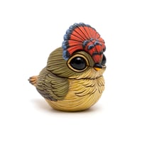 Image 4 of Chubby Bird: Royal Flycatcher (male)