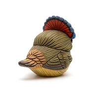 Image 5 of Chubby Bird: Royal Flycatcher (male)