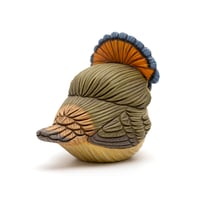 Image 5 of Chubby Bird: Royal Flycatcher (female)