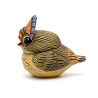 Image 1 of Chubby Bird: Royal Flycatcher (female)