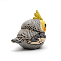 Image 5 of Chubby Bird: Cockatiel