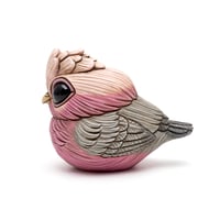 Image 1 of Chubby Bird: Galah