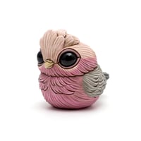 Image 2 of Chubby Bird: Galah