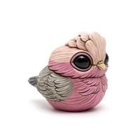 Image 4 of Chubby Bird: Galah
