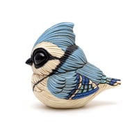 Image 1 of Chubby Bird: Blue Jay