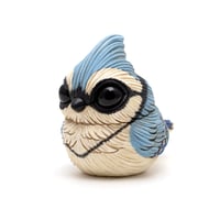 Image 2 of Chubby Bird: Blue Jay