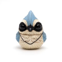 Image 3 of Chubby Bird: Blue Jay