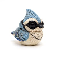 Image 4 of Chubby Bird: Blue Jay