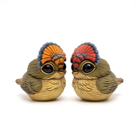 Image 8 of Chubby Bird: Royal Flycatcher (male)