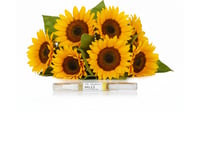 The Sunflower Miles™ Scented Cuticle Oil Pen