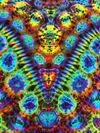 Image 3 of XL Kenney n Vpleat