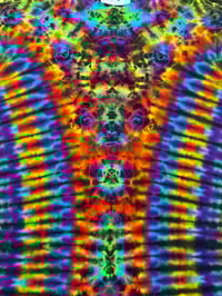 Image 3 of Medium kenney n pleat