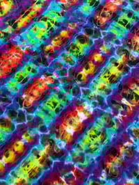 Image 5 of 2XL electric ameba