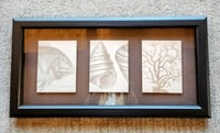 Image 1 of Framed Nautical Art
