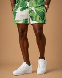 Image 5 of Banana Leaf Dream Set