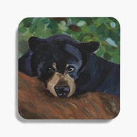 Black Bear Coasters (5pc)