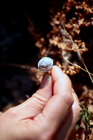 Image of Grounding