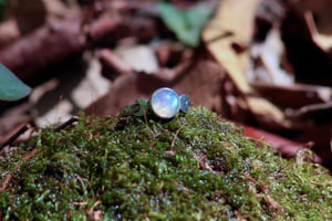 Image of Intuition