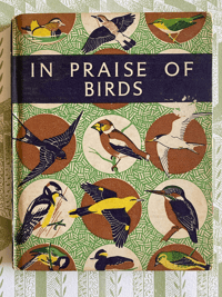 In Praise of Birds